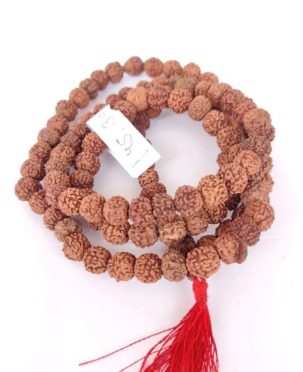 Rudhraksha Mala 109 Beads LAB Certified - Image 6