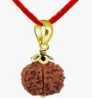 Nepali 5 Mukhi Rudraksha 5 Mukhi Faced  Gold Plated Pendant