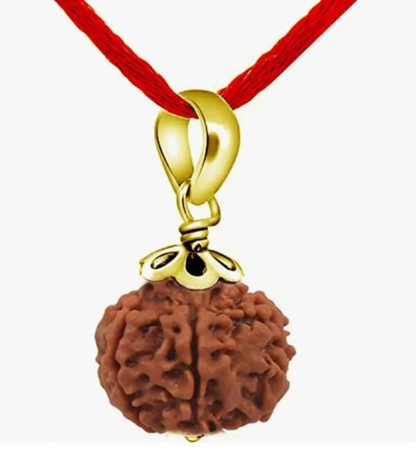Nepali 5 Mukhi Rudraksha 5 Mukhi Faced  Gold Plated Pendant - Image 2