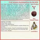 Nepali 5 Mukhi Rudraksha 5 Mukhi Faced  Gold Plated Pendant