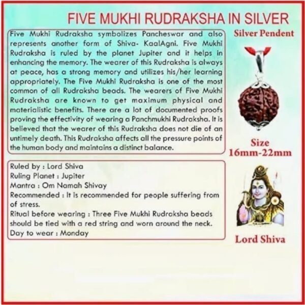 Nepali 5 Mukhi Rudraksha 5 Mukhi Faced  Gold Plated Pendant - Image 3