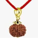 Nepali 5 Mukhi Rudraksha 5 Mukhi Faced  Gold Plated Pendant