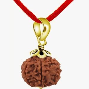 Nepali 5 Mukhi Rudraksha 5 Mukhi Faced  Gold Plated Pendant