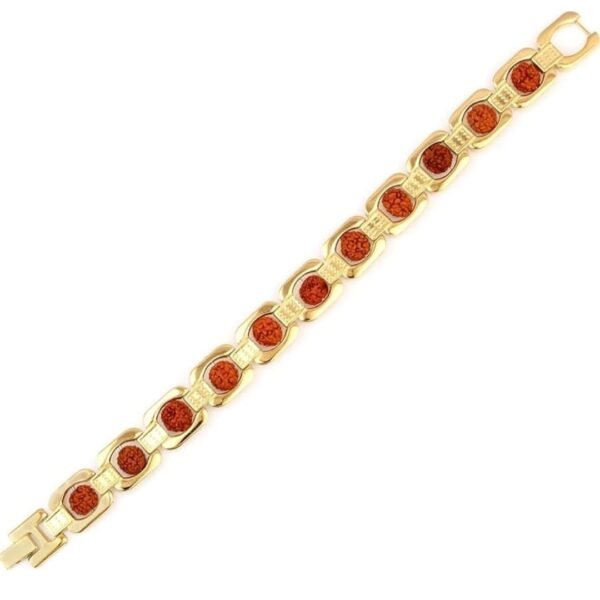 E 7 Mukhi Rudraksha Bracelet for man and woman - Image 2